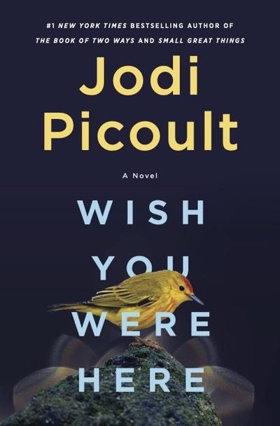 jodi picoult's wish you were here book cover